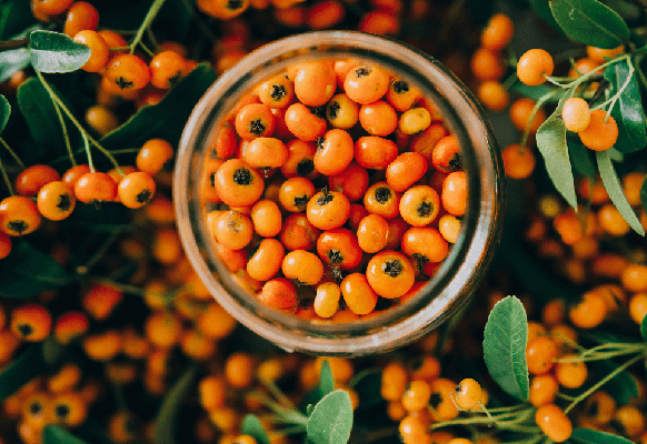 ESPINO AMARILLO ENERGIA PARA TU PIEL Y SALUD